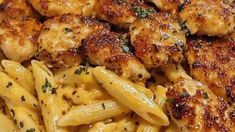 closeup of pasta with chicken and parmesan cheese