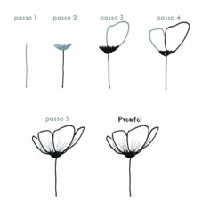 four different types of flowers are shown in the diagram below, each with their own name