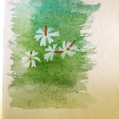 watercolor painting of white flowers on green background