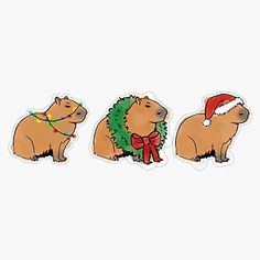 three brown bears with christmas decorations on their backs and one is wearing a santa hat