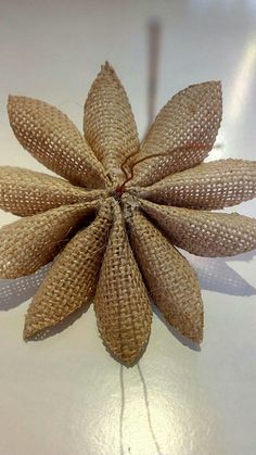 a close up of a flower made out of burlocks on a white surface