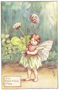 Vintage Kids' Books My Kid Loves: Flower Fairies of Summer Clover Fairy, Fairy Books, Fairy Drawings, Fairy Images, Fairy Illustration, Cicely Mary Barker, Fairy Pictures, Fairy Artwork, Vintage Fairies