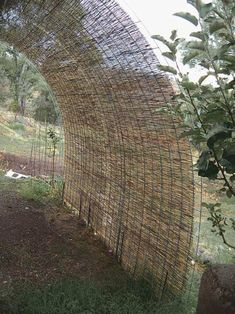 an arch made out of branches and wire in the middle of a field with trees