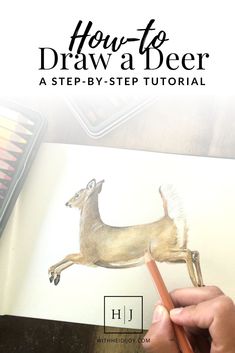 a person drawing a deer with pencils on top of a paper and the title how to draw a deer