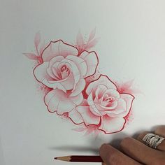 a hand holding a pencil and drawing a rose