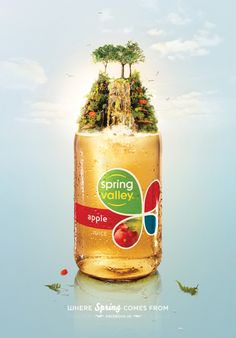 an apple cider with trees growing out of it's top is featured in this ad