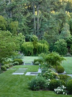 a lush green yard with lots of trees and bushes