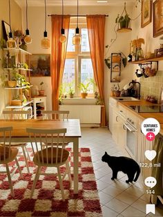 a cat is standing in the middle of a kitchen with an area rug on the floor