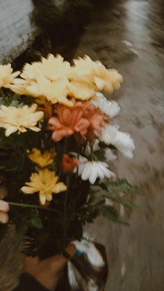 a person holding a bunch of flowers in their hand