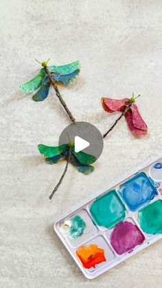 the dragonflies are painted with watercolors and paintbrushes