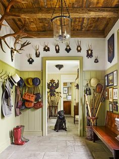 a dog sitting on the floor next to a bench in a room with deer heads