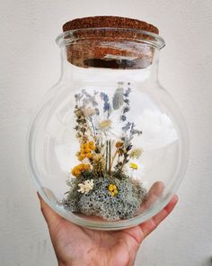 a hand holding a glass jar filled with flowers