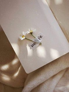 two daisies sitting on top of a piece of paper with the word love written on it