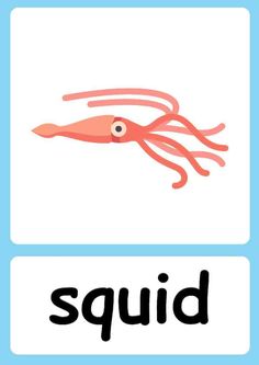 an orange squid with the word squid below it