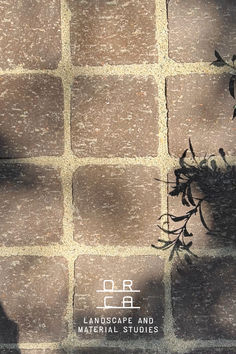 the shadow of a plant is cast on a brick wall that reads or landscape and material studies