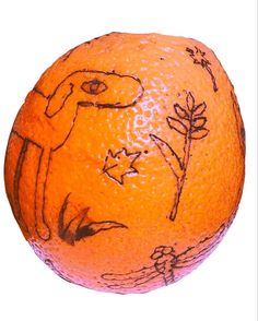 an orange with some drawings on it