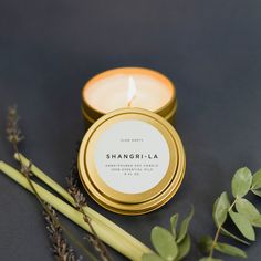 Take a journey to paradise. Our custom blend of lemongrass, lavender, and eucalyptus essential oils - designed to calm your mind and uplift your spirit - is soothing and transcendent; with herbaceous floral notes and a fresh, citrusy undertone. Slow North creates the finest plant-based, soy-wax candles for any space. From our 100% essential oil fragrances to our cotton wicks, our products redefine all-natural luxury. Our candles are vegan and free from artificial dyes and ingredients. You will e Oil Fragrances, Travel Tin Candles, Eucalyptus Lavender, Artificial Dyes, Natural Luxury, Travel Candles, Calm Your Mind, Lemongrass Essential Oil, Eucalyptus Essential Oil