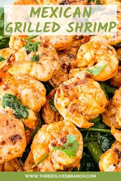 mexican grilled shrimp with spinach and cilantro