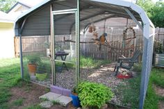 a large bird cage in the middle of a yard with some plants and birds inside