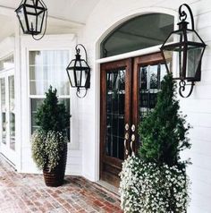 two potted plants are on the front porch