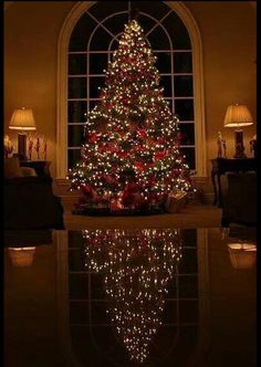 a lit christmas tree in front of a large window with reflection on the floor at night