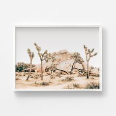 an image of joshua trees in the desert with rocks and boulders behind them on a white wall