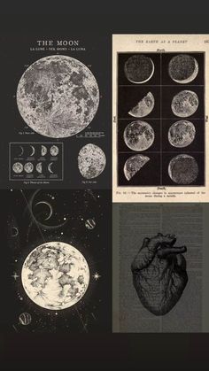 the moon and its phases are shown in black and white