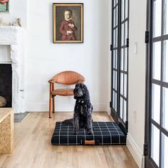 a black dog sitting on top of a cushion in front of a painting and chair