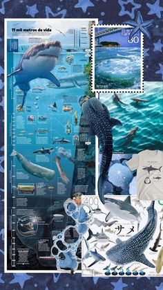 a collage of marine animals including dolphins and sharks