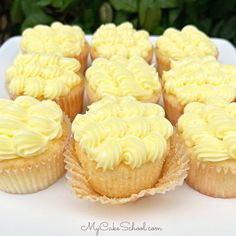 several cupcakes with yellow frosting on a white plate