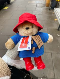 a teddy bear wearing a red hat and blue coat holding a bag in it's hand