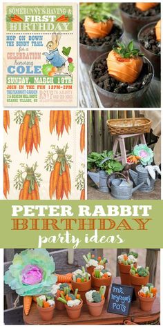 peter rabbit birthday party ideas with carrots and succulents in potted plants