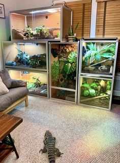 a living room filled with lots of different types of plants and animals in glass cases