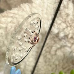 a close up of a person holding a clear object in front of a white background