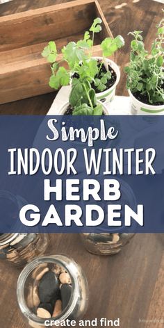 DIY indoor herb garden. Winter Herb Garden, Inside Herb Garden Ideas, Inside Herb Garden, Herb Planter Ideas, Repurposed Jars, Grow Herbs Indoors, Jar Herb Garden, Mason Jar Herb Garden