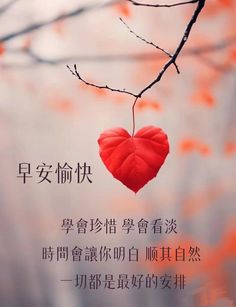 a red heart hanging from a tree branch with the words written in english and chinese