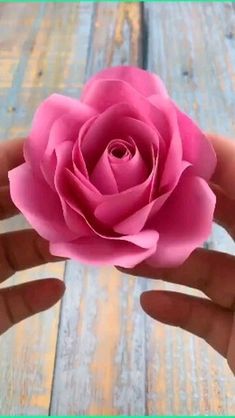 a person holding a pink flower in their hand