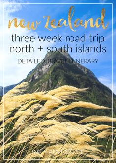 tall grass with the words new zealand three week road trip north and south islands detailed travel info