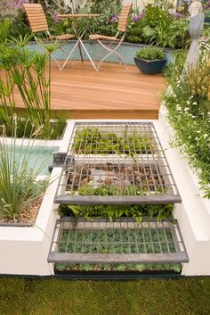 an outdoor garden with plants growing in the ground and water running down it's sides