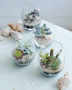 three glass vases filled with different types of succulents and rocks on a table