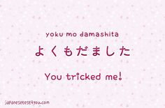 the words you no damaskita are written in japanese