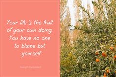 an orange tree with the quote your life is the fruit of your own doing you have no one to flame but yourself