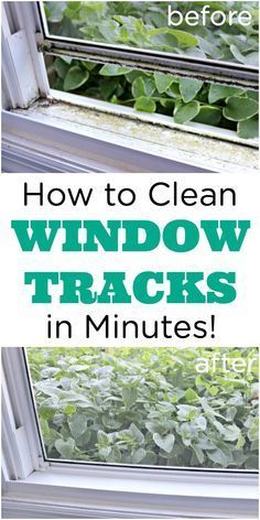 an open window with plants growing in it and the words how to clean window tracks in minutes