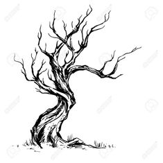 a black and white drawing of a bare tree with no leaves on it stock photo