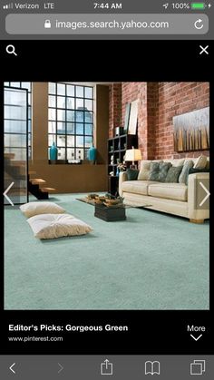 an image of a living room with green carpet