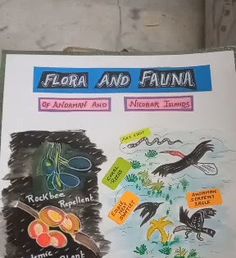 a poster on the side of a building that says flora and fauna