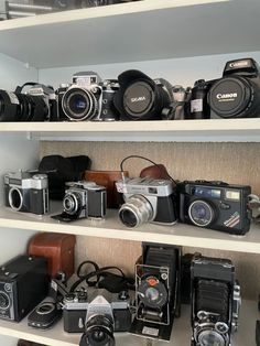 many different cameras are on shelves in a room