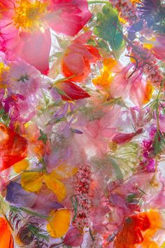 an image of colorful flowers that are in the air with watercolors on paper