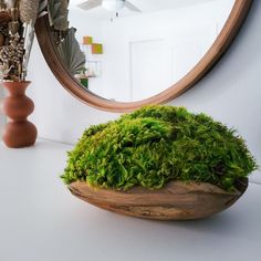 a mirror sitting on top of a white counter next to a moss covered potted plant