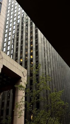 the building is very tall and has many windows on each side, as well as trees in front